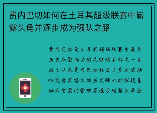 费内巴切如何在土耳其超级联赛中崭露头角并逐步成为强队之路